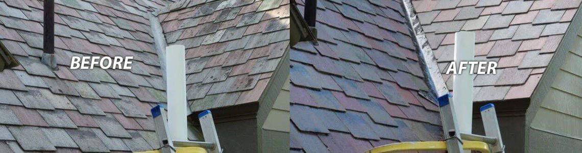 Best Seattle Wa Roof Cleaning