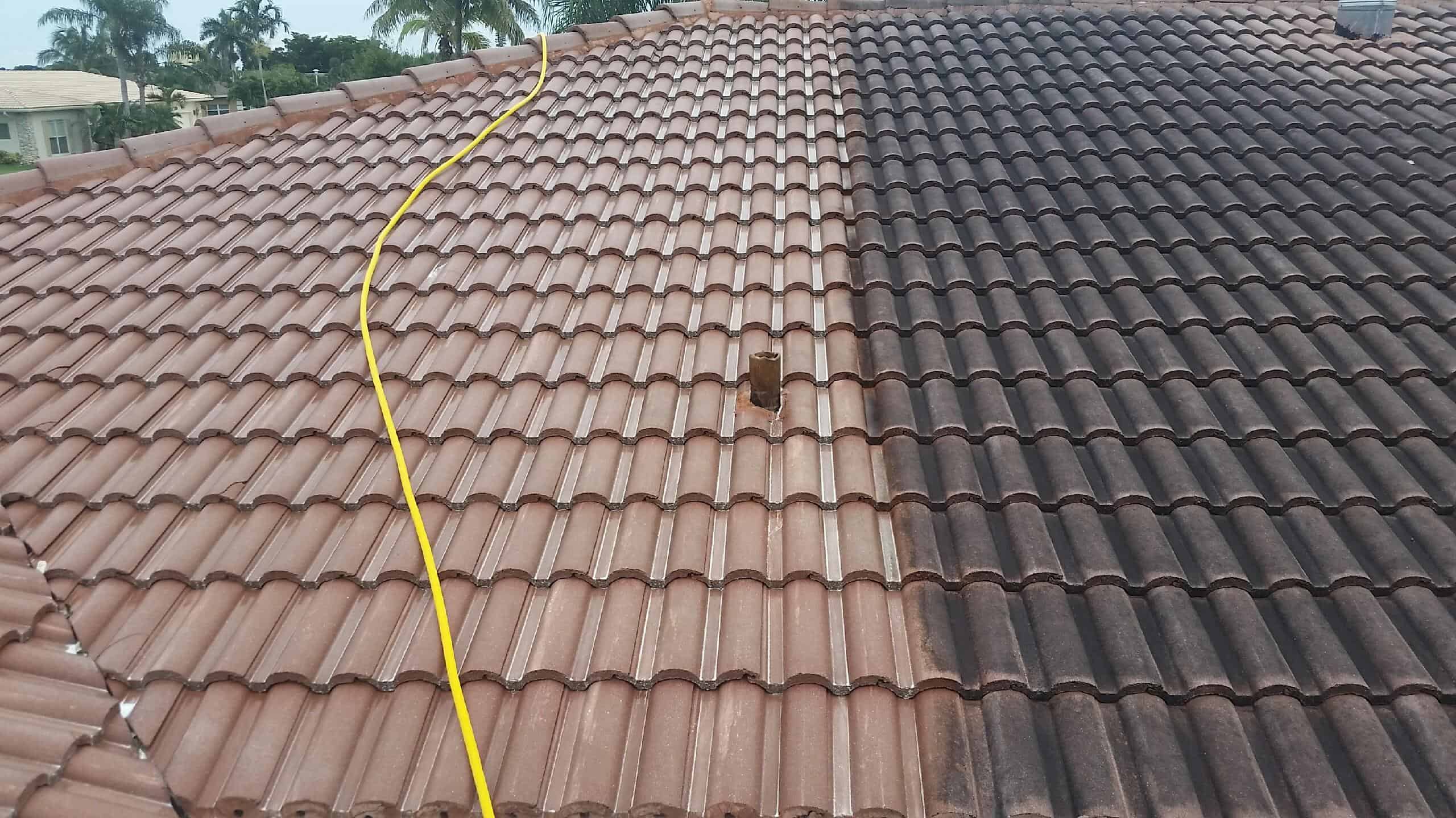 Kenmore WA Roof Cleaning